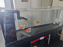 YEE南美溪流缸超白玻璃魚(yú)缸客廳家用底濾蘭壽金魚(yú)帶柜子一體缸自循環(huán) 黑拉絲【無(wú)邊框黑膠工藝】不帶燈 【金晶超白玻璃】100*37*120cm/底拉筋 曬單實(shí)拍圖