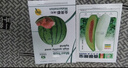 中科茂華蔬菜水果種子金美都西瓜種子改良8424麒麟瓜高純浙江美都西瓜種子 金美都100粒/袋【優(yōu)選】 曬單實(shí)拍圖