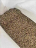 覓風(fēng)黑麥草種籽子種多年生牧草種子畜牧養殖草種雞鴨牛羊魚(yú)草種籽四季 【進(jìn)口一年生黑麥草小籽】5斤散裝 曬單實(shí)拍圖