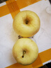 桃西村山東奶油富士蘋(píng)果 黃胖子黃焦蘋(píng)果棲霞富硒糖心元帥新鮮水果禮盒 4.5斤精選大果【80-85mm】 曬單實(shí)拍圖