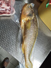 1號會(huì )員店冷凍深海野化三去黃花魚(yú) 寧德大黃魚(yú)800g/2條盒裝 海鮮魚(yú)類(lèi)水產(chǎn) 曬單實(shí)拍圖