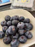 京地達云南藍莓鮮果凈含量115g*2中果15mm京東自營(yíng)新鮮水果源頭直發(fā)包郵 曬單實(shí)拍圖
