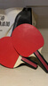 紅雙喜SH橫直對拍01初學(xué)者訓練比賽乒乓球拍橫直套裝+乒乓球 曬單實(shí)拍圖