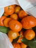 正宗廣西砂糖橘桔子現摘新鮮當季薄皮橘子水果純甜沙糖桔 砂糖橘帶箱5斤 曬單實(shí)拍圖
