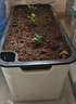 德沃多種菜盆長(cháng)方形種植箱塑料加厚自動(dòng)吸水花盆種菜箱蔬菜種植盆大號 曬單實(shí)拍圖