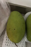 京鮮生新鮮玉芒  凈重4.5斤 單果300g＋ 新鮮水果 源頭直發(fā)包郵 曬單實(shí)拍圖