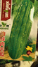播種心情家庭種植蔬菜種子大全四季播種陽(yáng)臺盆栽農家庭院小菜園有機香菜菠 綠苦瓜種子2包 曬單實(shí)拍圖