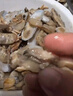 新鮮野生無(wú)沙特大鮮活雙頭蟶子活鮮貝類(lèi)海鮮海產(chǎn)品生鮮海鮮水產(chǎn)蟶 1斤試吃裝（40-45只/斤） 1斤(凈重) 曬單實(shí)拍圖