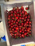 大口七八現貨大連美早櫻桃新鮮水果鮮果大櫻桃孕婦特大國產(chǎn)車(chē)厘子京東順豐 5斤(凈重) 3J 30mm(含)-32mm(不含） 曬單實(shí)拍圖
