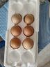 京喜加鮮雞蛋 新鮮雞蛋山林自養 生鮮溏心蛋 鹵蛋早餐京東買(mǎi)菜40g正負5g 6枚裝總重240g+ 曬單實(shí)拍圖