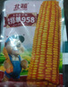 北蔬 玉米種子苗鄭單958大棒抗旱倒苞米籽 鄭單958種子3斤(500gx3包) 曬單實(shí)拍圖