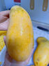 京地達芒果金煌芒海南新鮮樹(shù)熟芒果水果年貨禮盒凈重7.8斤390g+源頭直發(fā) 曬單實(shí)拍圖