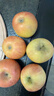 龍多鮮新疆冰糖心蘋(píng)果 丑蘋(píng)果 新鮮富士應季水果 節日送禮推薦 整箱5斤精選果徑75-95MM凈4.5斤 曬單實(shí)拍圖