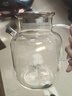 家の物語(yǔ)日本泡酒玻璃瓶家用酒壇酒罐泡酒專(zhuān)用高檔密封楊梅果酒釀酒容器 曬單實(shí)拍圖