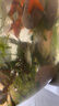 寵小俠七彩鳑鲏?mèng)~(yú)觀(guān)賞魚(yú)旁皮冷水魚(yú)活體小型魚(yú)苗原生群游魚(yú)除藻淡水好養 3-4cm10條8送2條備損 曬單實(shí)拍圖