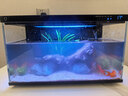 米家小米智能魚(yú)缸半年免換水定時(shí)喂食+畫(huà)法幾何沉木造景套裝 曬單實(shí)拍圖