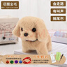 Honey Joy仿真毛絨兒童玩具狗狗會(huì )走路會(huì )叫電動(dòng)小狗寵物狗金毛禮物 曬單實(shí)拍圖