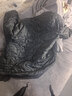 雅鹿【石墨烯】輕薄羽絨服男秋冬季短款內膽大碼休閑內搭修身保暖外套 灰色 4XL 建議180-200斤 曬單實(shí)拍圖