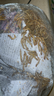 【面包蟲(chóng)-活體】魚(yú)食魚(yú)糧守宮倉鼠飼料黃粉蟲(chóng)金龍魚(yú)石蛙飼料龜糧 【精選面包蟲(chóng)】1斤 【成蟲(chóng)】2-3cm 曬單實(shí)拍圖