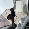 盯盯拍行車(chē)記錄儀MINIPro 2K版1440P高清夜視 斷電不丟失 360度旋轉鏡頭 曬單實(shí)拍圖