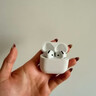 Apple/蘋(píng)果 AirPods 4(支持主動(dòng)降噪)搭配無(wú)線(xiàn)充電盒(USB-C)蘋(píng)果耳機 藍牙耳機適用iPhone/iPad 四代 曬單實(shí)拍圖