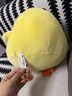 名創(chuàng  )優(yōu)品（MINISO）dundun雞公仔墩墩雞毛絨玩偶玩具娃娃抱枕靠枕生日禮物女 大號 曬單實(shí)拍圖