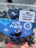 云南高山大藍莓500g 18mm 曬單實(shí)拍圖
