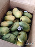 海南小臺農芒芒果新鮮當季水果熱帶芒果現摘特產(chǎn)整箱批發(fā) 小臺芒凈重4.5-5斤單果100g+ 曬單實(shí)拍圖
