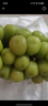 陽(yáng)光玫瑰葡萄晴王青提香水提子山西新鮮水果一斤也是批發(fā)價(jià) 帶箱5斤大果【單果克重10g-20g】（凈重約4.5斤） 曬單實(shí)拍圖