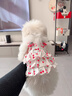 阿莫爾貓咪衣服夏天薄款甜美連衣裙防掉毛布偶金漸層狗狗衣服吊帶蛋糕裙 櫻桃蛋糕裙【透氣柔軟】 XS（建議1-3斤 參考胸圍背長(cháng)） 曬單實(shí)拍圖