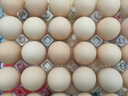 七鮮 安心無(wú)抗鮮雞蛋30枚1.59kg 曬單實(shí)拍圖