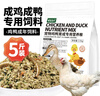 捕漁達人 雞鴨成年飼料2.5kg成雞成鴨飼料喂雞鴨面包蟲(chóng)魚(yú)干成年鵝糧食飼料 曬單實(shí)拍圖