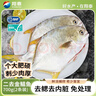 翔泰海南二去金鯧魚(yú)700g/2條去鰓去內臟免處理生鮮魚(yú)類(lèi) 海鮮水產(chǎn) 曬單實(shí)拍圖