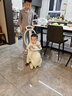 Baby Soul熱狗搖搖車(chē)寶寶搖搖馬嬰兒蹦蹦車(chē)兒童周歲溜溜防摔木馬 維特白-搖搖車(chē)+護圈靠背 曬單實(shí)拍圖