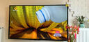 海信（Hisense）電視機85英寸2026款8K超高清護眼全面屏智能網(wǎng)絡(luò )液晶電視機會(huì )議平板 石板灰65英寸高清平板電視 曬單實(shí)拍圖