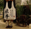 帆布包定制logo環(huán)保手提購物帆布袋女diy背心包包包來(lái)圖定制圖案 【中號】白色背心包暗扣+內袋 單面定制 曬單實(shí)拍圖