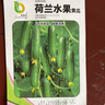 荷蘭無(wú)刺水果黃瓜種子青瓜籽室外菜園大棚四季易種植瓜果蔬菜種子 荷蘭水果黃瓜種子【1袋】約50粒 曬單實(shí)拍圖