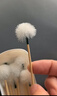 艾杰普鵝毛棒采耳工具套裝掏耳朵神器掏耳勺打耳朵毛毛棒獨立包裝10袋 曬單實(shí)拍圖