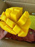 閩域尋鮮金煌芒新鮮芒果時(shí)令應季熱帶孕婦新鮮采摘皮薄云南金煌芒 5斤【精選實(shí)惠裝（210g+）】?jì)?.5斤 【多層保護】 曬單實(shí)拍圖