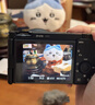 索尼（SONY）ZV-E10K APS-C半畫(huà)微單16-50二代鏡頭套裝  ZV-E10/ZV-E10L vlog短視頻 直播ZV-E10K 白色K套機 曬單實(shí)拍圖