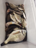 恒冠2023新款多功能海釣保溫箱磯釣26保溫箱魚(yú)插桿箱活魚(yú)箱20小冷藏箱 070海釣箱 曬單實(shí)拍圖