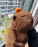 貝尚星卡皮巴拉午睡枕辦公室午休枕小學(xué)生趴桌睡覺(jué)玩偶毛絨玩具生日禮物 曬單實(shí)拍圖