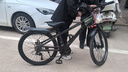 鳳凰官方旗艦店山地自行車(chē)男女士變速單車(chē)青少年學(xué)生越野公路賽車(chē)途瑞 鋼架【輻條】長(cháng)石灰 24寸【適合145-170cm】 24速 曬單實(shí)拍圖
