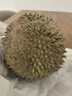 【保四房】樹(shù)熟冷凍貓山王榴蓮帶殼1粒1.6kg 曬單實(shí)拍圖