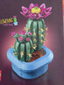 樂(lè )高（LEGO）積木11509開(kāi)花的仙人掌男女孩兒童玩具生日禮物送女友擺件 曬單實(shí)拍圖