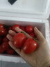 廣西紅色圣女果小番茄新鮮水果沙拉新鮮 超實(shí)惠帶箱5斤凈重4.9斤 曬單實(shí)拍圖