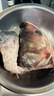查干湖胖頭魚(yú)魚(yú)頭 單邊花鰱魚(yú)頭凈重3.5斤/個(gè) 鮮凍大胖頭鳙魚(yú) 源頭直發(fā) 曬單實(shí)拍圖