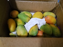 海南小臺甜心芒果臺農芒應季熱帶時(shí)令芒果水果整箱送禮 小臺芒凈重4.5-5斤單果80g+ 曬單實(shí)拍圖