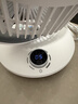 夏普小風(fēng)鈴空氣循環(huán)扇電風(fēng)扇家用小型風(fēng)扇桌面臺式靜輕音99檔風(fēng)速抑菌大風(fēng)量一級能效PJ-CA230A-C 曬單實(shí)拍圖