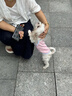 嬉皮狗（hipidog）小狗狗衣服愛(ài)心浮雕紋理吊帶泰迪博美小型幼犬春夏季薄款寵物服裝 奧麗粉 L （建議體重8-11斤） 曬單實(shí)拍圖